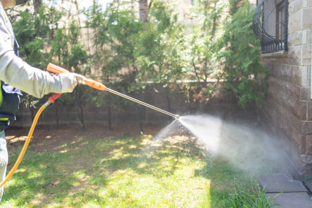 Best Seasonal Pest Control  in Lewisburg, OH